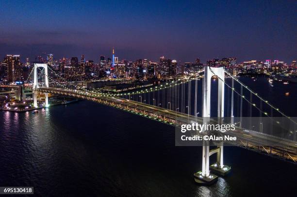 tokyo bay from the air - 飛ぶ stockfoto's en -beelden