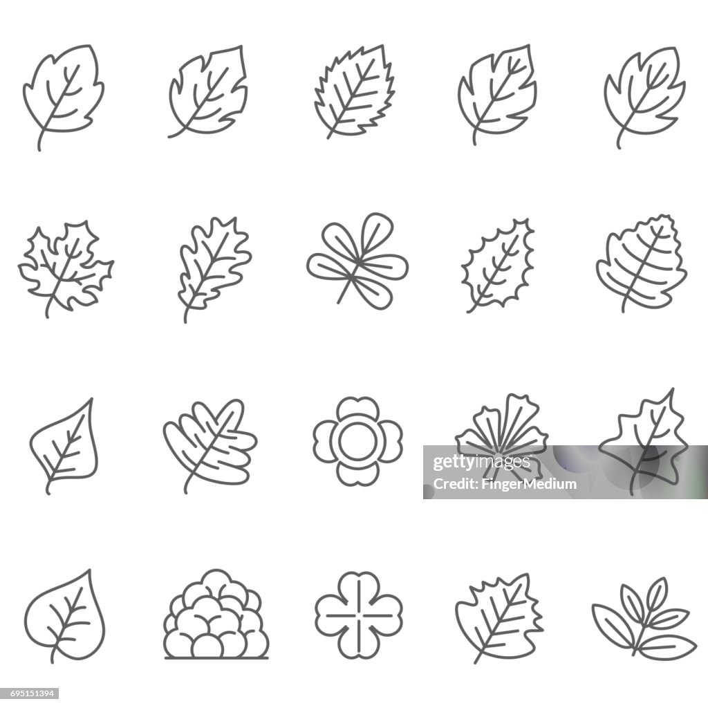 Leaf icons set