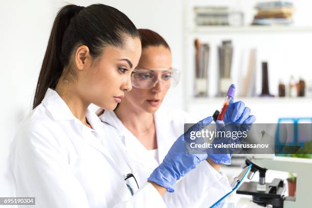 blood tests in laboratory - virus zika stock pictures, royalty-free photos & images