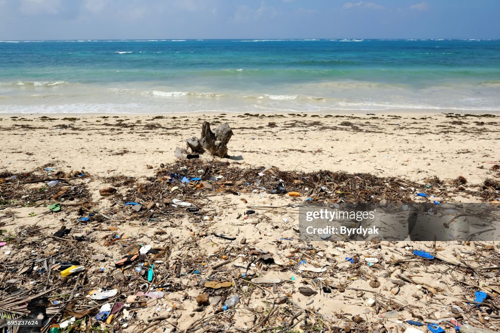 Waste on the sands causes environmental pollution