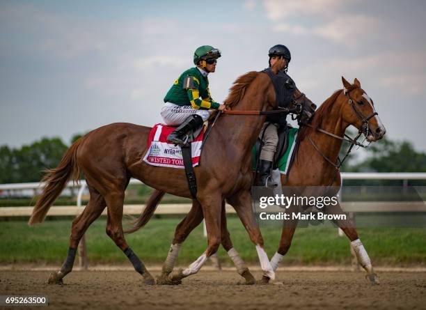 Jockey Javier Castellano warms up Twisted Tom before The 149th running of the Belmont Stakes at Belmont Park on June 10, 2017 in Elmont, New York..