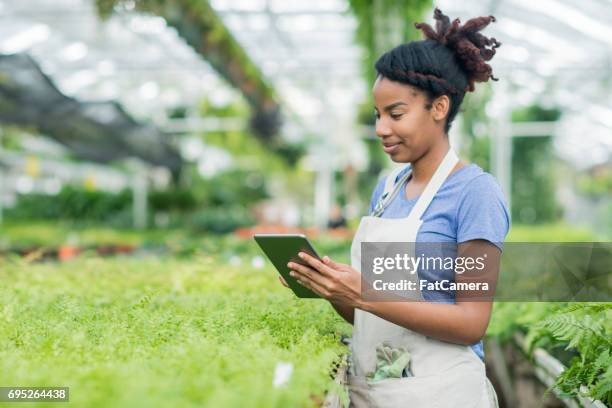 plant inspector - agricultural occupation stock pictures, royalty-free photos & images