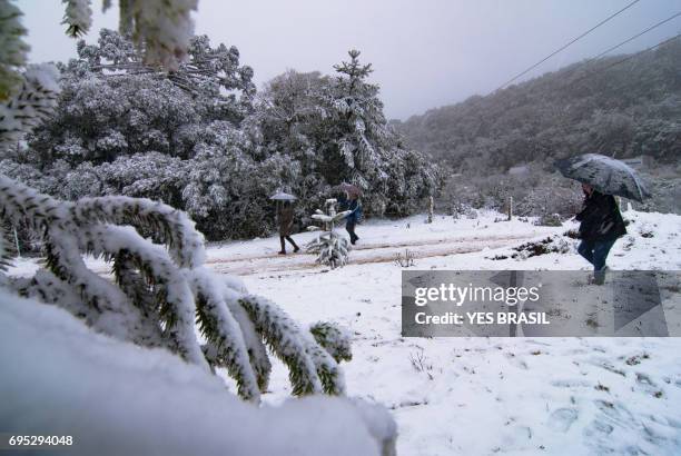 touristen mit ihren regenschirmen wandern und spielen im schnee in brasilien - santa catarina brasilien stock-fotos und bilder
