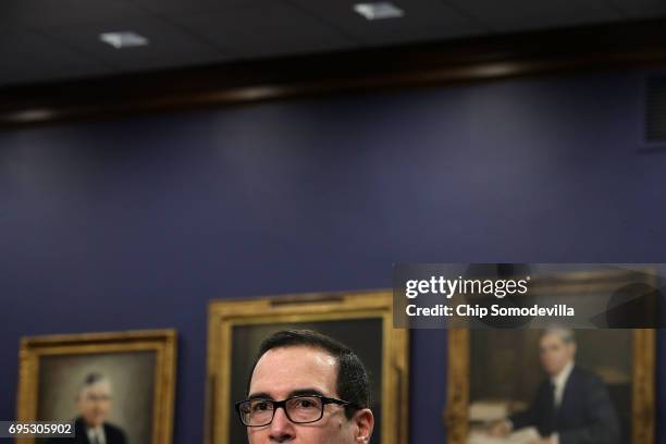 Treasury Secretary Steven Mnuchin testifies before the House Appropriations Committee's Financial Services and General Government Subcommittee in the...