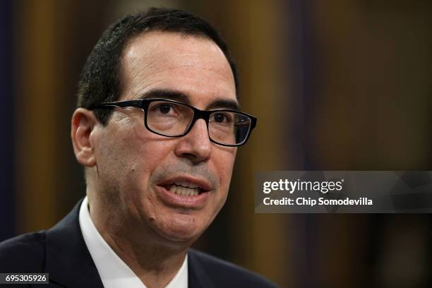 Treasury Secretary Steven Mnuchin testifies before the House Appropriations Committee's Financial Services and General Government Subcommittee in the...