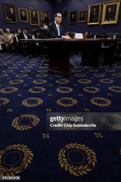 Treasury Secretary Steven Mnuchin testifies before the House Appropriations Committee's Financial Services and General Government Subcommittee in the...