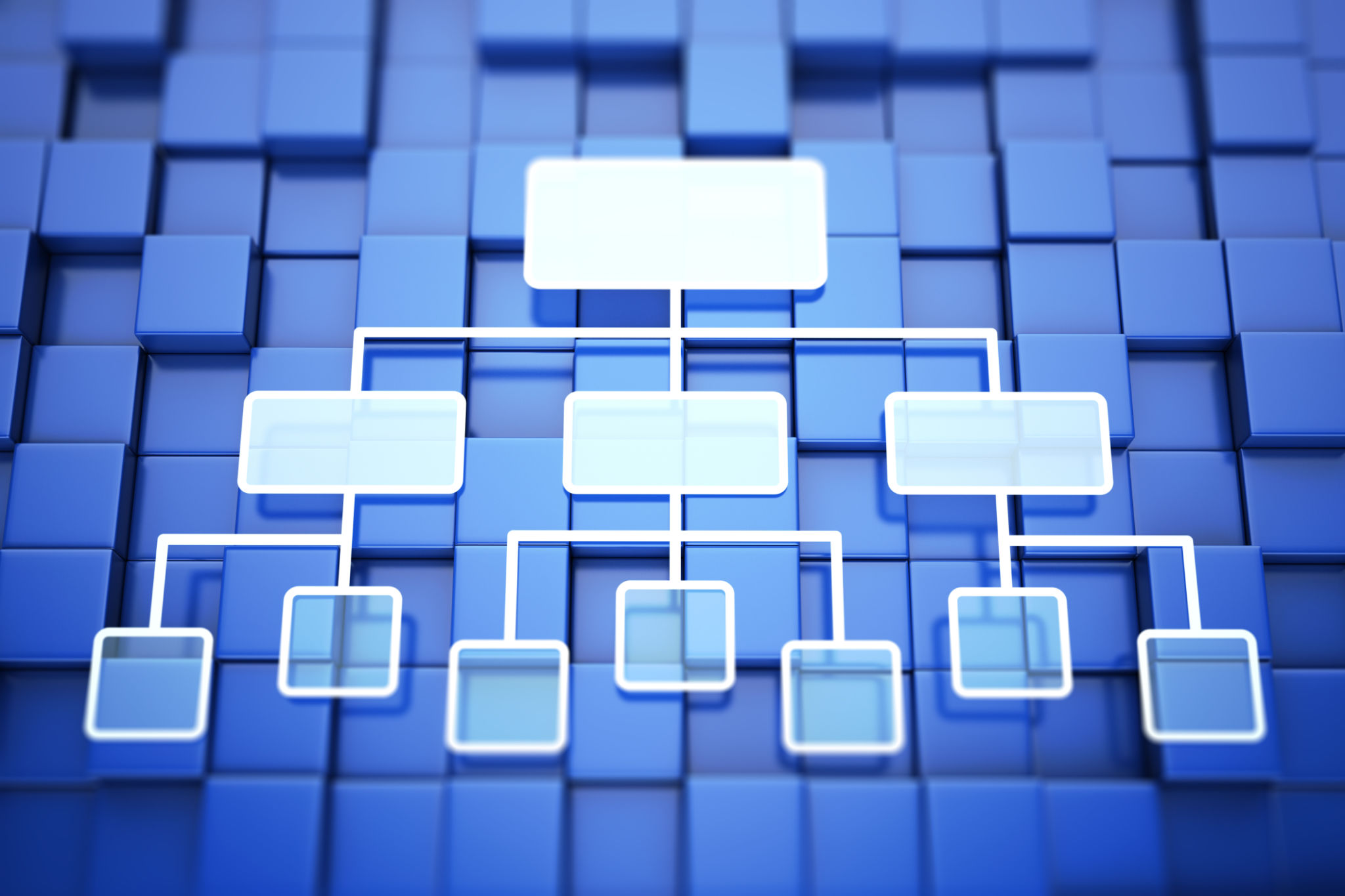 Organization chart Organization chart