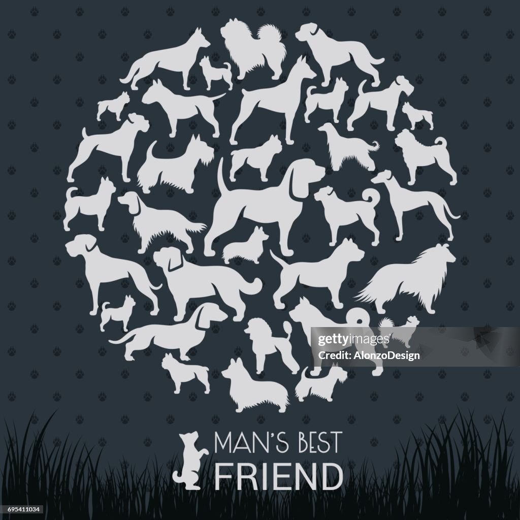 Dog Breeds
