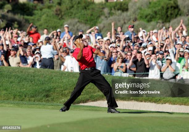 Tiger Woods birdies the 18th hole and celebrates to send it to a playoff round against Rocco Mediate during the final round of the US Open...