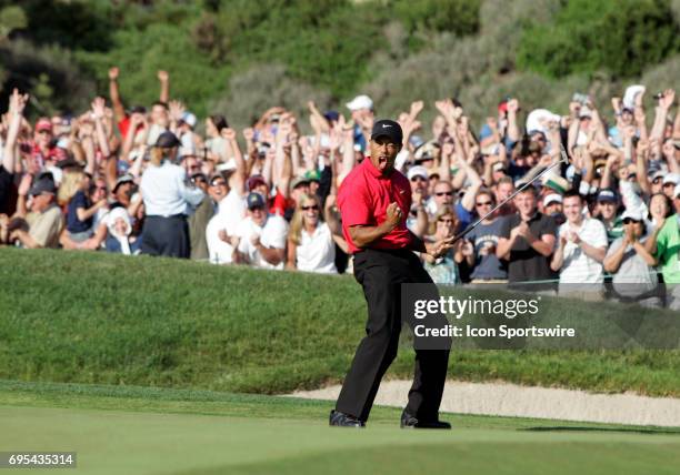 Tiger Woods birdies the 18th hole and celebrates to send it to a playoff round against Rocco Mediate during the final round of the US Open...