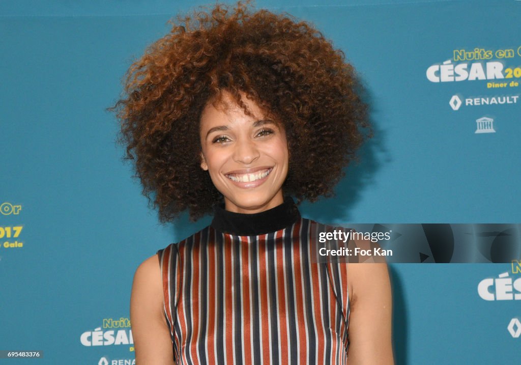 'Les Nuits en Or 2017' Dinner Gala - Photocall At Unesco