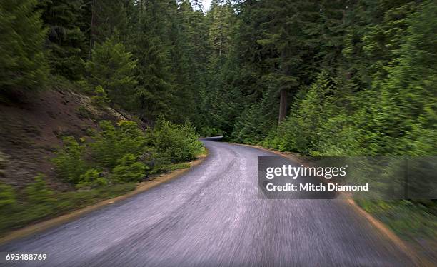willamette national forest highway, oregon - willamette national forest stock pictures, royalty-free photos & images
