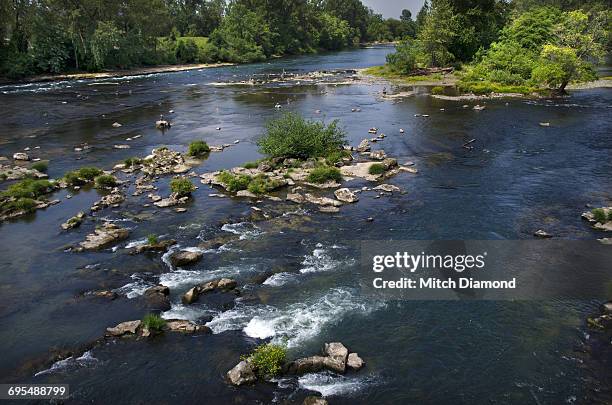 wilamette river in eugene, oregon - willamette national forest stock pictures, royalty-free photos & images