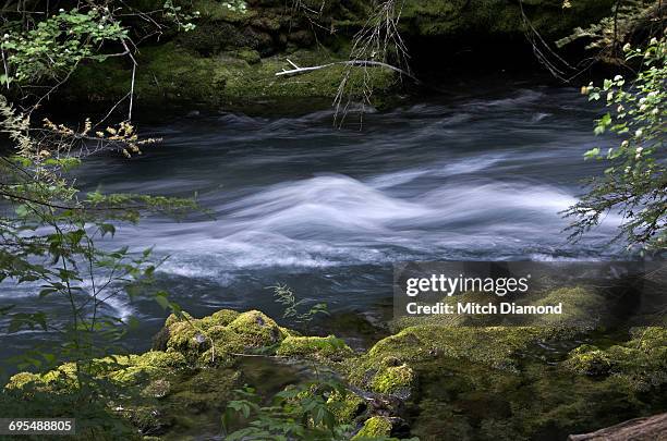 mckenzie river, willamette national forest, oregon - willamette national forest stock pictures, royalty-free photos & images