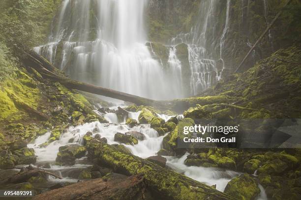 proxy falls - willamette national forest stock pictures, royalty-free photos & images