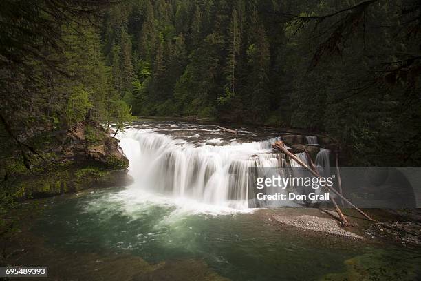 lower lewis river falls - gifford pinchot national forest stock pictures, royalty-free photos & images