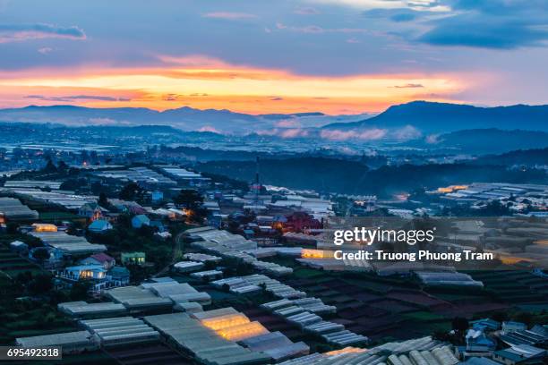 view from lang biang mountain to dalat city, vietnam. we can see the lights from the cage houses to grow shimmering vegetables. - touristical stock pictures, royalty-free photos & images