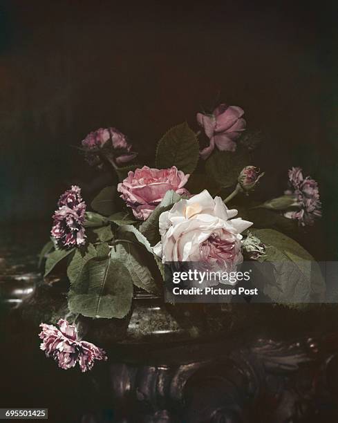 Constance Spring 68 Constance Spry Stock Photos, High-Res Pictures, and Images - Getty ...
