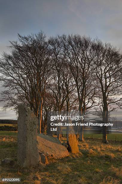 scotland, aberdeenshire, tyrebagger stone circle. - stone circle stockfoto's en -beelden
