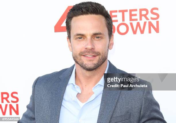 Actor Chris J. Johnson attends the premiere of "47 Meters Down" at The Regency Village Theatre on June 12, 2017 in Westwood, California.