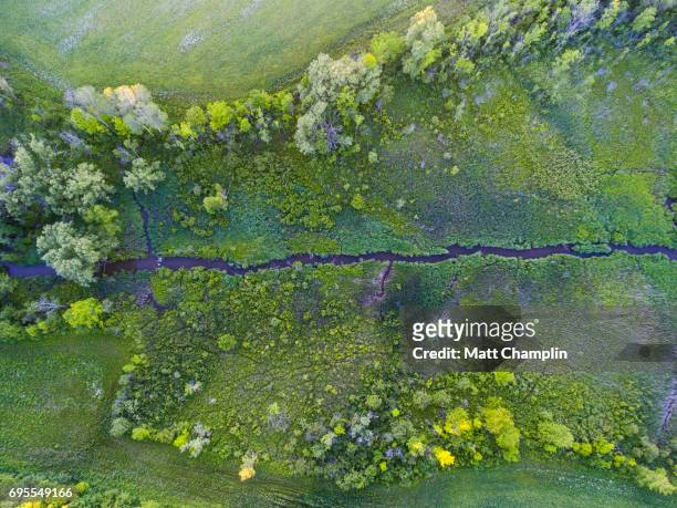 aerial of meandering stream and beaver pond - biber stock-fotos und bilder
