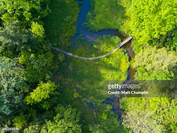aerial of boardwalk crossing stream in a public park - 斯加內特爾湖 個照片及圖片檔