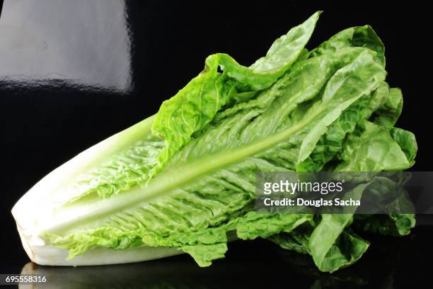 romaine lettuce on a black background (lactuca sativa l. var. longifolia) - romaine lettuce stock pictures, royalty-free photos & images