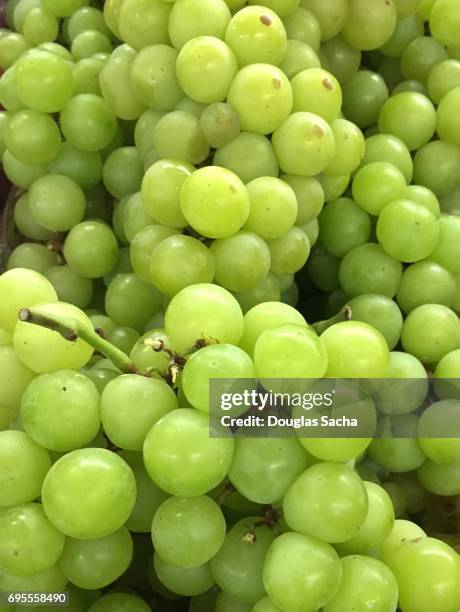 full frame of fresh white grapes (genus vitis) - green grape stock pictures, royalty-free photos & images