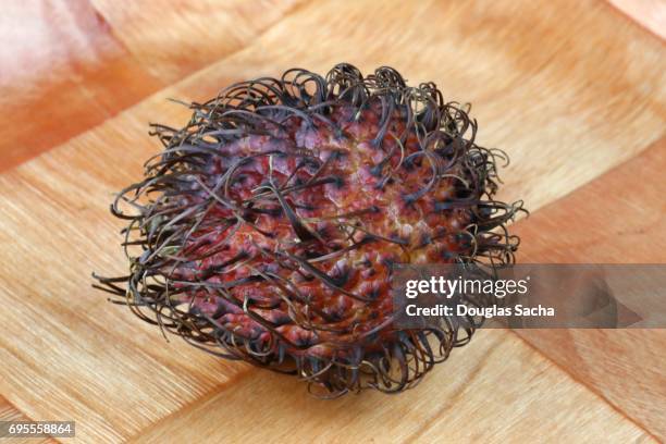 African Rambutan 289 Rambutan Tree Stock Photos, High-Res Pictures, and Images - Getty ...