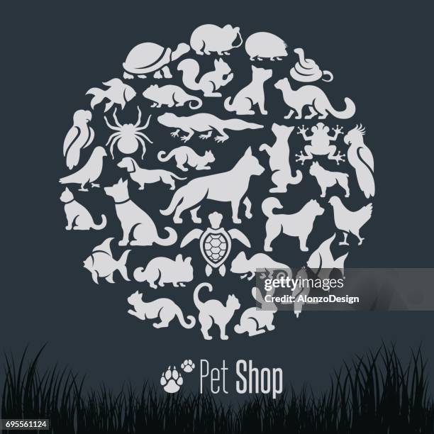 pet shop collage - rabbit guinea pig stock illustrations