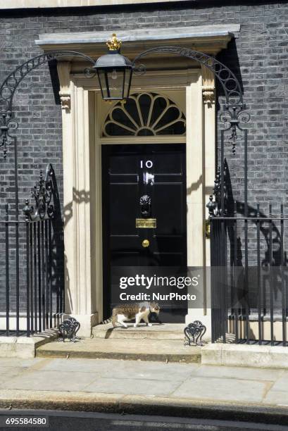 Larry the cat sits outside 10 Downing Street, London on June 13, 2017. Prime Minister and Conservative Party leader Theresa May, was heading into...