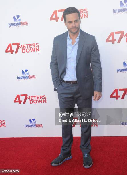 Actor Chris Johnson arrives for the Premiere Of Dimension Films' "47 Meters Down" held at Regency Village Theatre on June 12, 2017 in Westwood,...