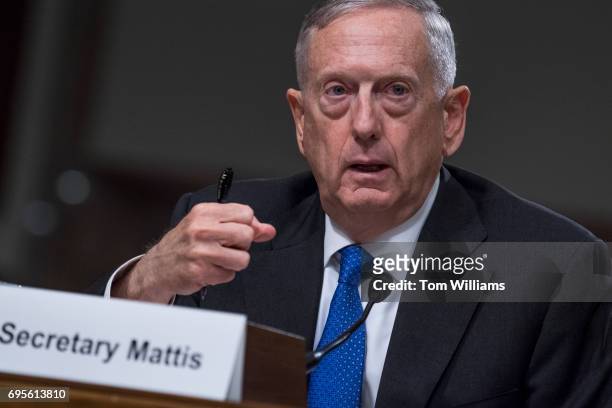 Defense Secretary James Mattis testifies before a Senate Armed Services Committee in Dirksen Building on the Defense Authorization Request for Fiscal...