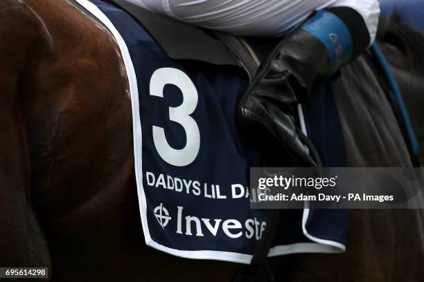 Closeup detail of a Saddle cloth