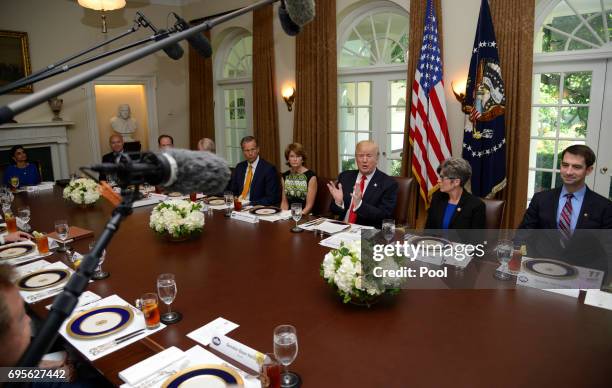 President Donald Trump hosts a working lunch with members of Congress, including Sen. Tom Cotton , Sen. Joni Ernst and White House Director of...