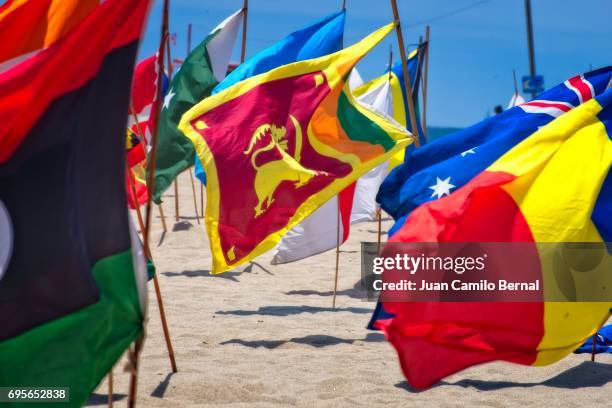 national flags at venice beach highlighting the flag of sri lanka - sri lanka flag stock-fotos und bilder