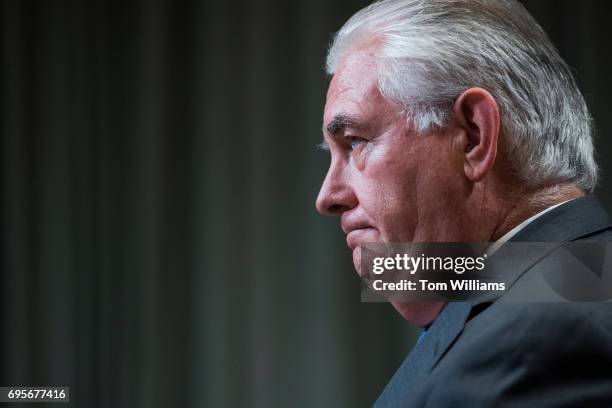 Secretary of State Rex Tillerson testifies before a Senate Appropriations Subcommittee on State, Foreign Operations, and Related Programs on the...