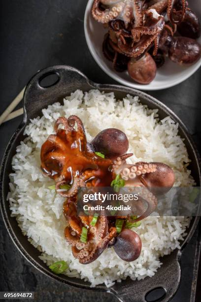 grilled baby octopus over rice with teriyaki sauce - baby octopus stock pictures, royalty-free photos & images