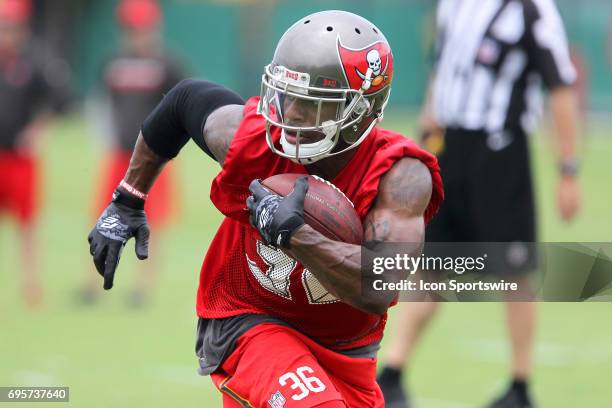 Robert McClain runs with the ball after catching a punt during the Tampa Bay Buccaneers Minicamp on June 13, 2017 at One Buccaneer Place in Tampa,...