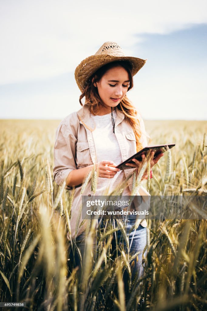 Investigador joven comprobación de campo de trigo cultivado con tableta digital
