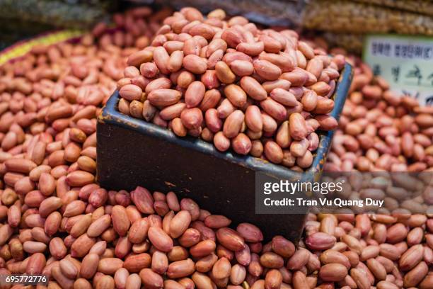 gyeongdong market, largest asian medicine market in korea, seoul, south korea. - dried herring stock pictures, royalty-free photos & images
