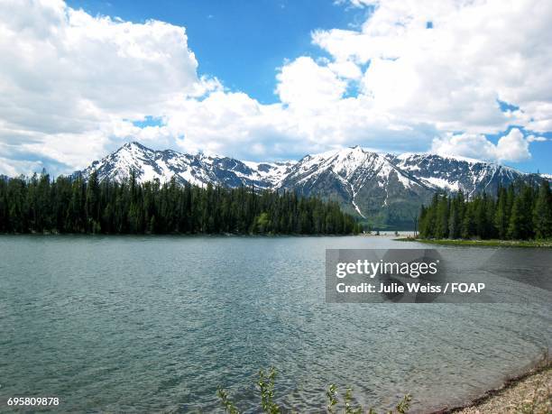 colter bay, grand teton national park - colter bay stock pictures, royalty-free photos & images