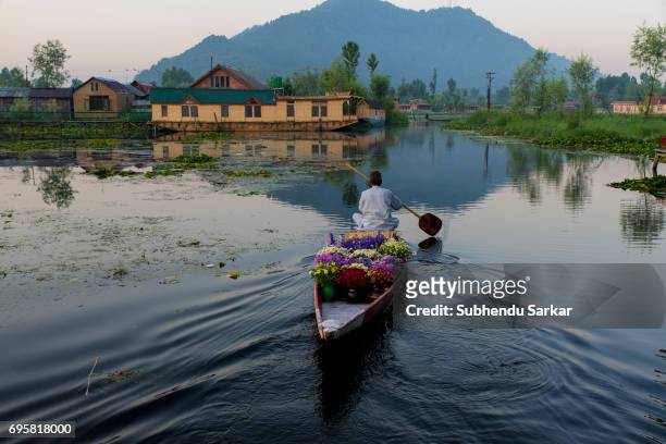 Kashmiri man rows a boat carrying flowers to sell on Dal lake.