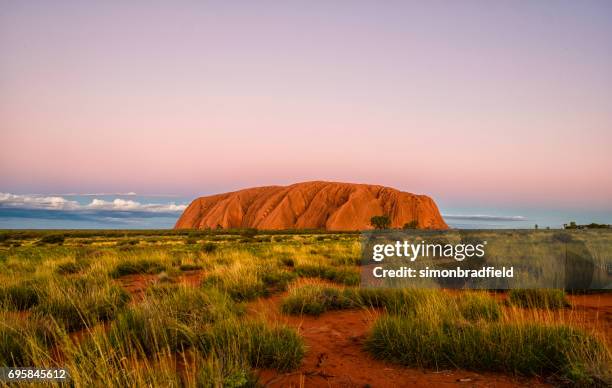 evening at uluru - uluru stock pictures, royalty-free photos & images