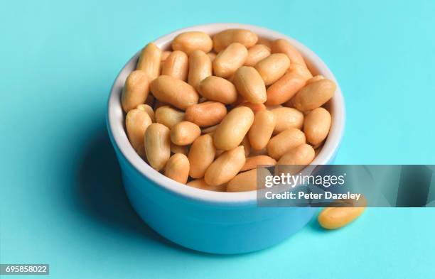 peanut allergy - peanut stock pictures, royalty-free photos & images