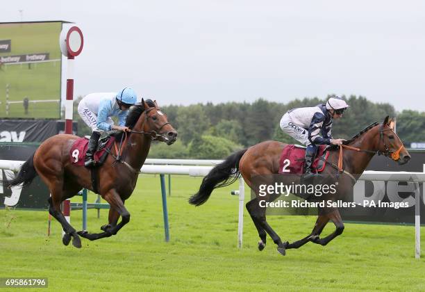 Reachforthestars ridden by Daniel Tudhope wins The Betway Middle Distance Handicap Stakes at Haydock Racecourse