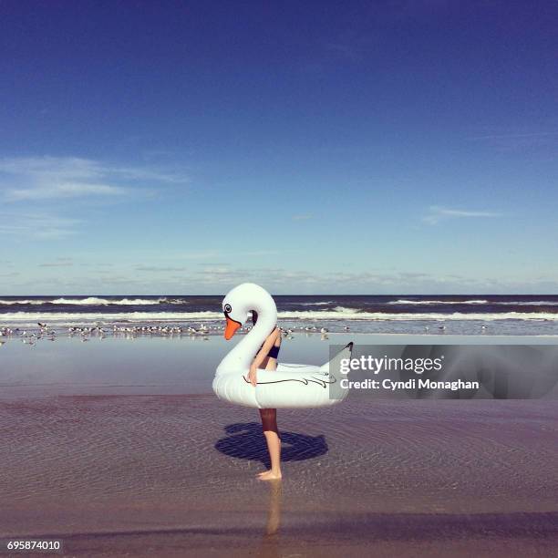 swan girl - se cacher photos et images de collection