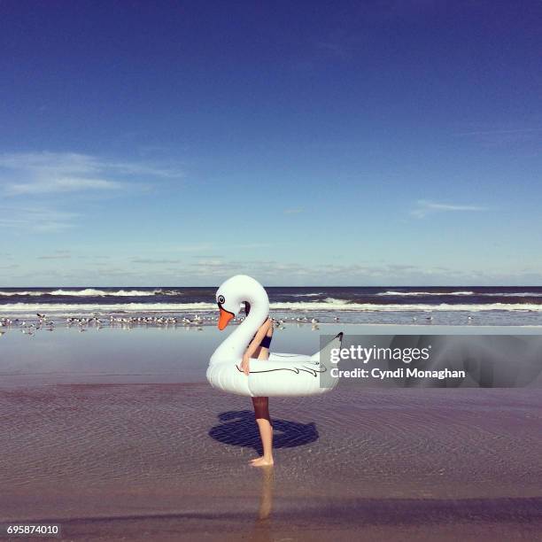 swan girl - inflável - fotografias e filmes do acervo