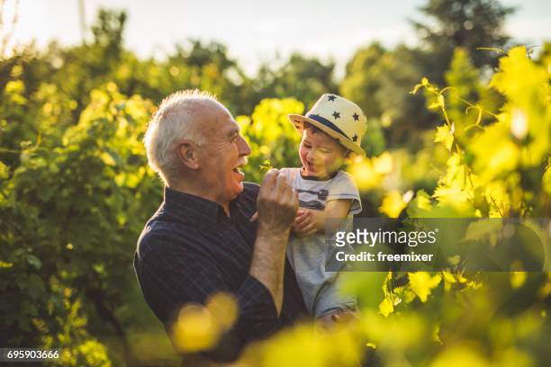 momenti felici con mio nipote - grandfather foto e immagini stock