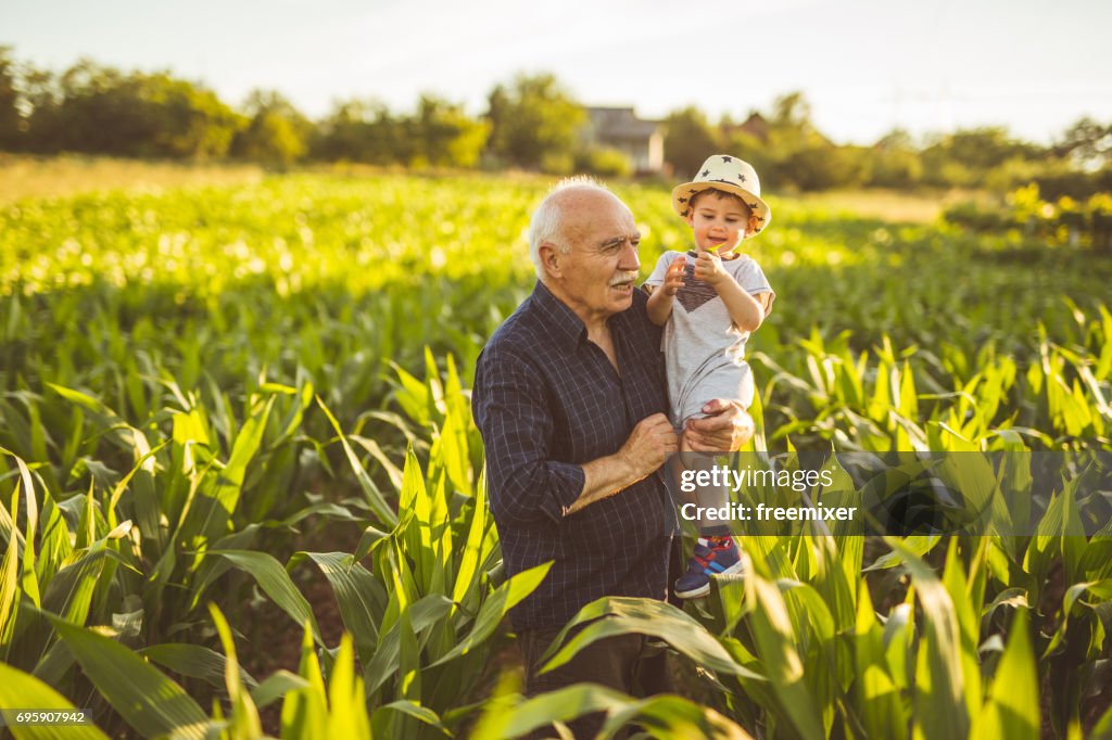 Grandson and his grandfather on the corn farm